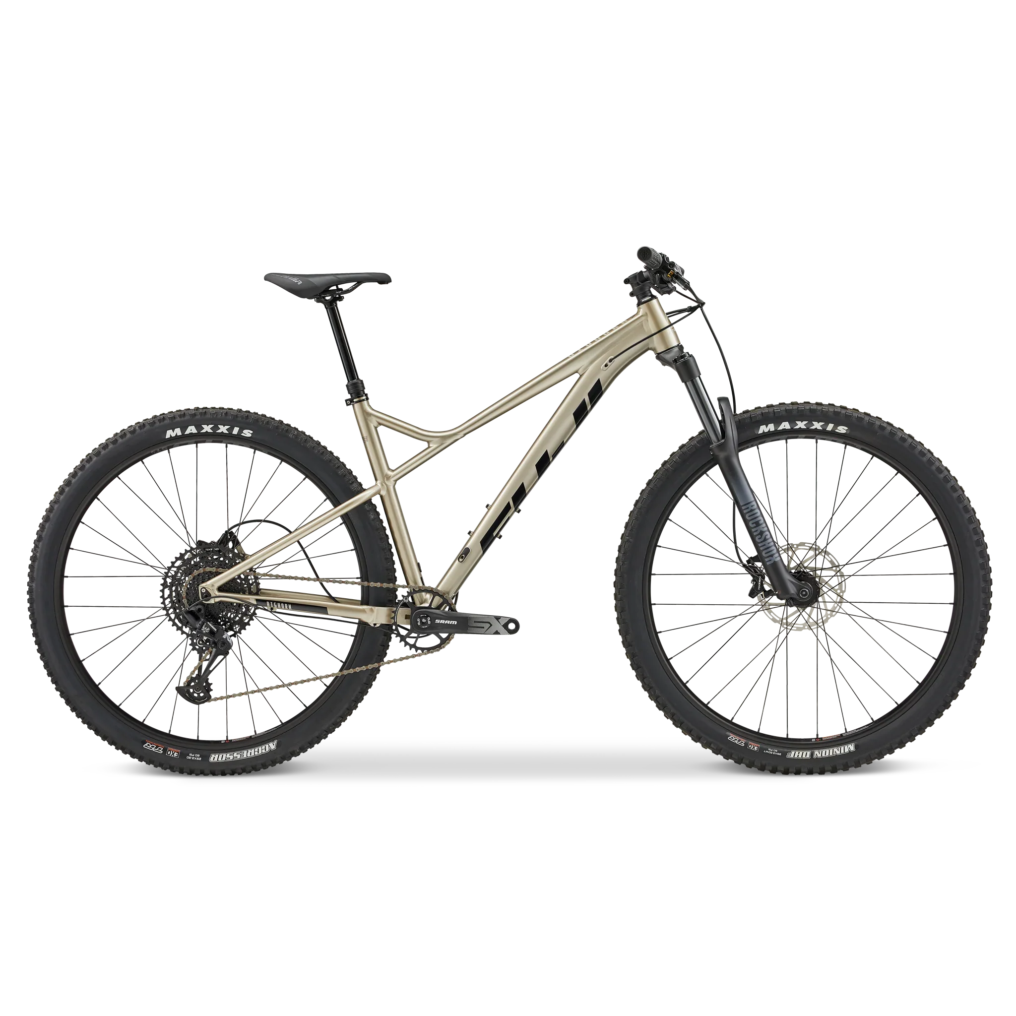 Bighorn