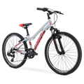 Dynamite 24 Sport