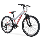 Dynamite 24 Sport