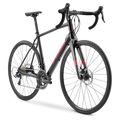 Sportif 1.3 Disc