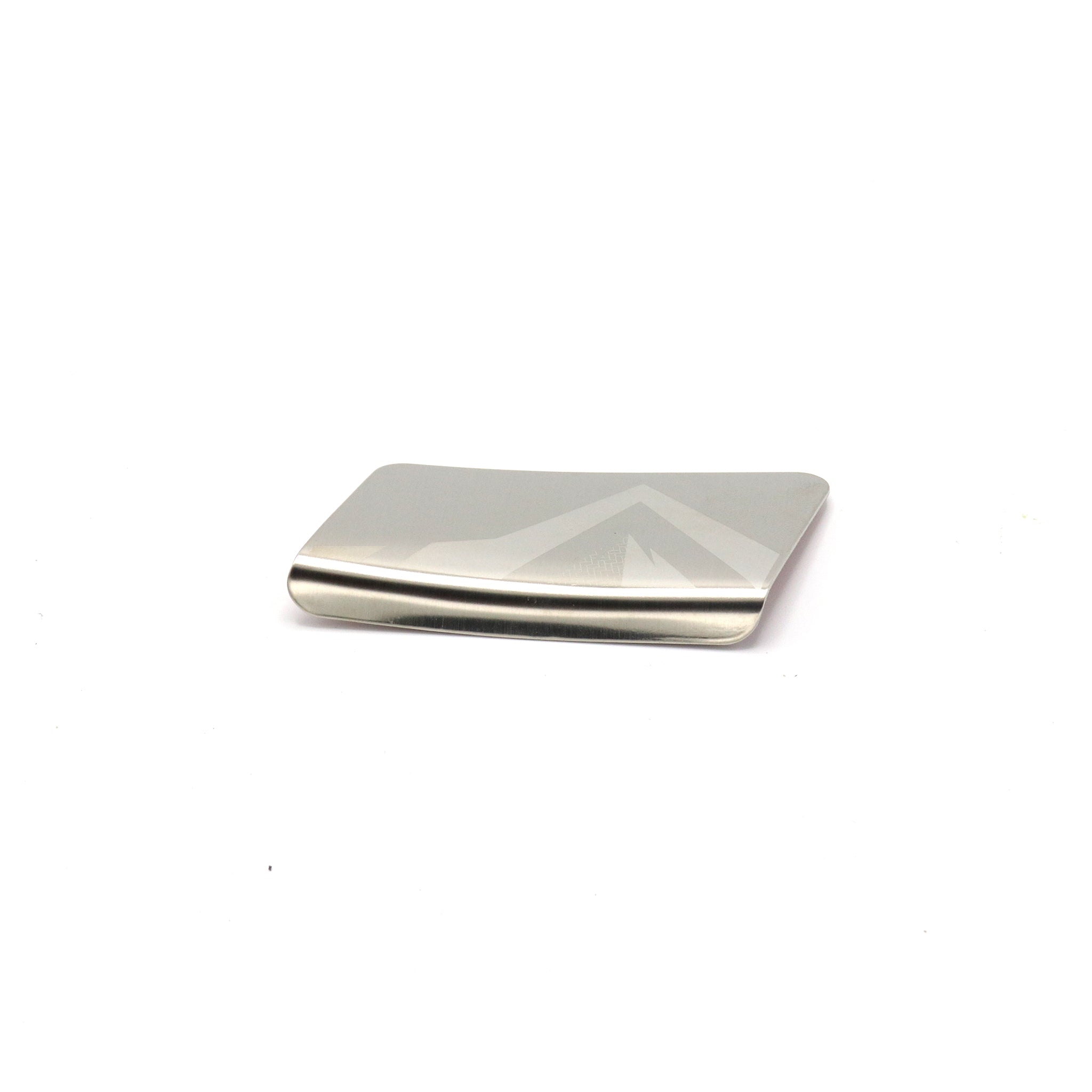 CHAIN-STAY STAINLESS  STEEL PROTECTOR PLATE - TRANSONIC MY'19