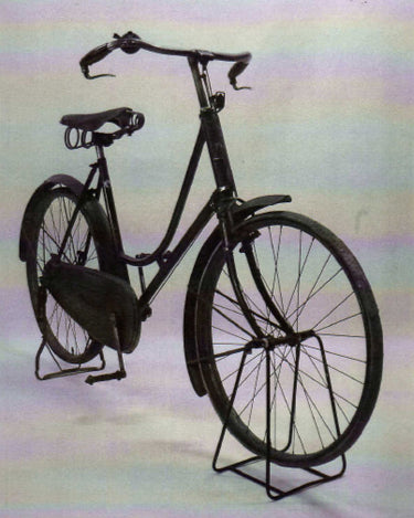 Fuji timeline 1899
